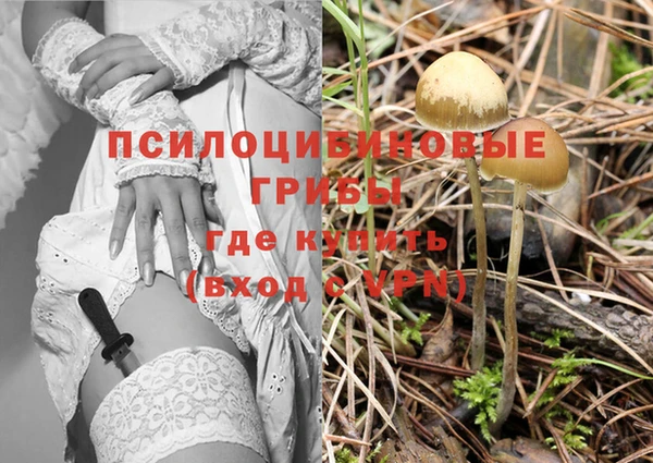 спиды Алексеевка