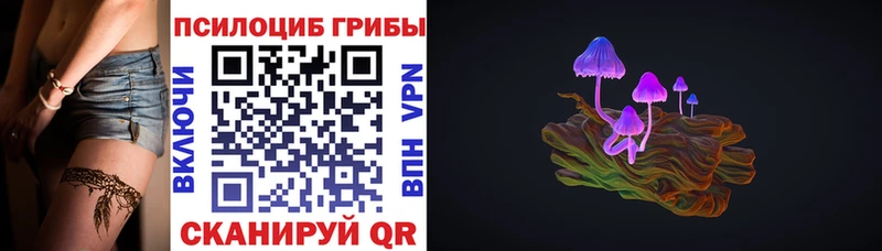 Псилоцибиновые грибы ЛСД  где купить наркоту  Ленинск-Кузнецкий 